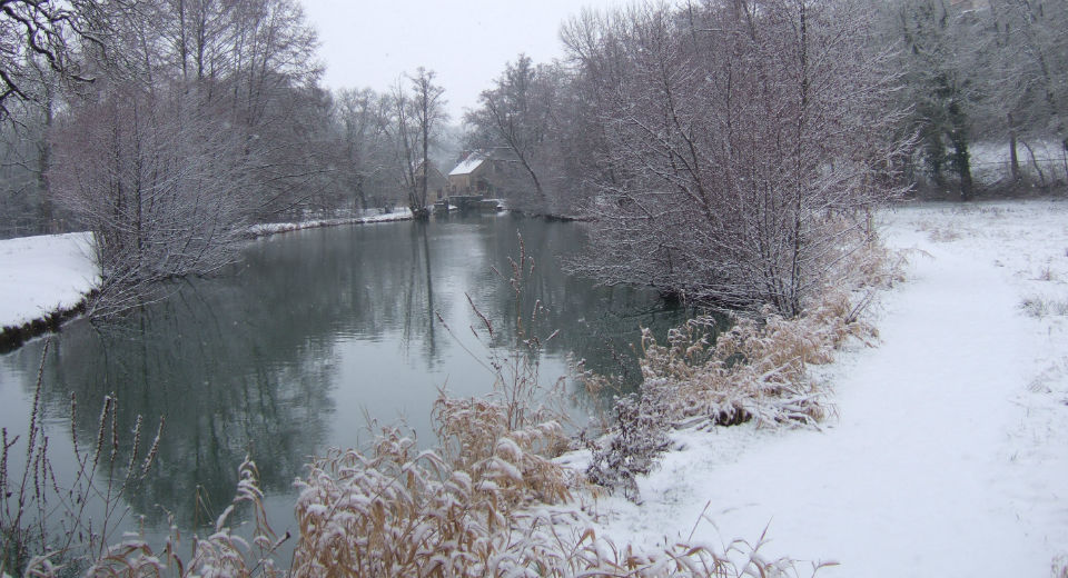 Winter charm...snow